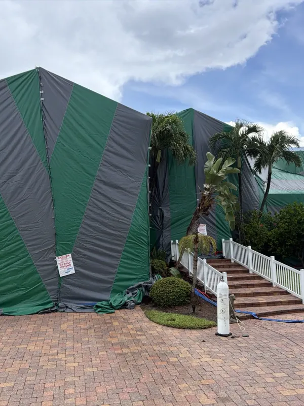 Home tented for termite fumigation by Cameron Termite & Pest Control